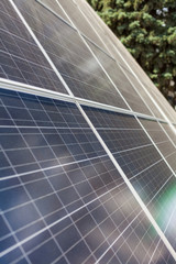 Vertical close up side view photo of new photovoltaic panel with green tree on background