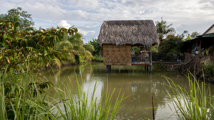 Vietnamese-style Tree House on Beautiful Green Pond with Coconut Trees and Tropical Plants - Sunny Day with Clouds