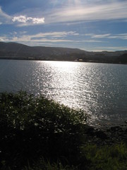 Coast of soutt island. New Zealand