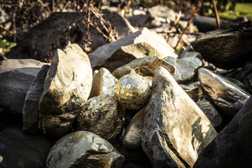Christmas and New Year concept. Small gift at nature during sunlight. Empty space. No snow