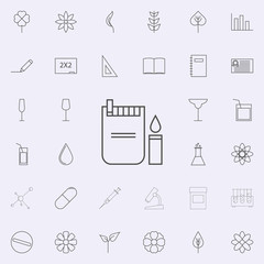 a pack of cigarettes with a cigarette lighter icon. web icons universal set for web and mobile