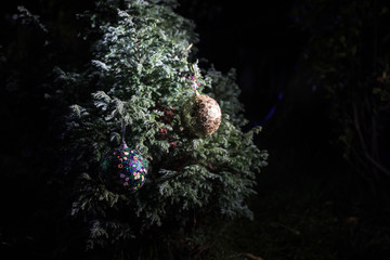 Obraz premium Christmas and New Year decoration on the pine tree branch with lights at the background at night outdoors. Concept of winter holidays.