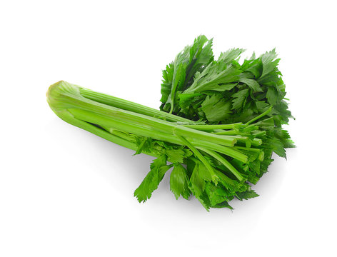 fresh celery isolated on a white background