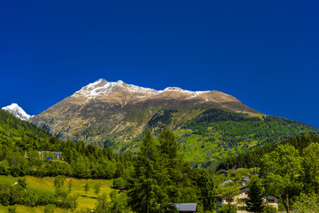 Alp mountains with forest and fields, Fiesch, Goms, Wallis, Vala