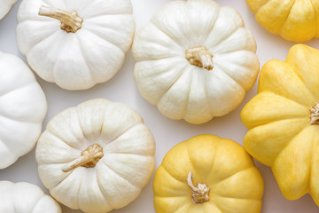 White and yellow pumpkins on a white background, creative flat lay thanksgiving concept