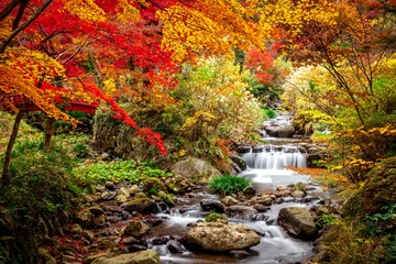 autumn in Atami Baien