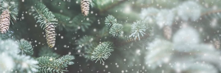 Deurstickers Frosty Pine Cones Hanging From Evergreen Branches With Falling Snow / Christmas Decoration Concept © Philip Steury