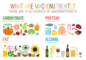Main food groups macronutrients