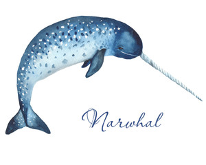 Ocean mammals watercolor. Illustration of jellyfish, whale, narwhal, sperm whale on a white background. For cards, invitations, weddings, logos, quotes, marine design. © MarinaErmakova