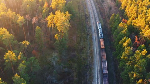 Aerial top view of a freight train, carrying woods and empty cargo containers, moving through the autumn forest at sunset