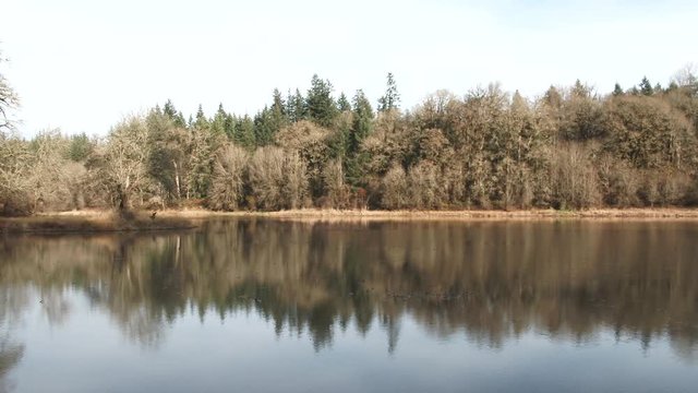 Camera pan at calm lake in autumn with forest trees reflecting in water.