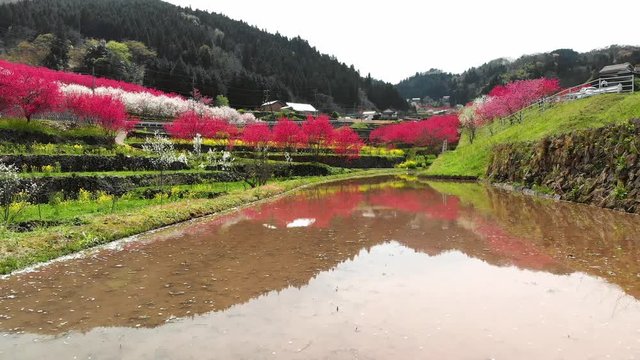 ドローン空撮 天国に一番近い里 前進