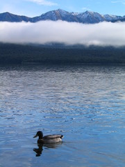 Beautiful lake in South island of New Zealand. 