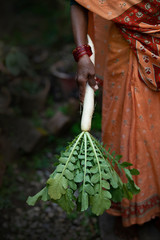 Radish in hand 