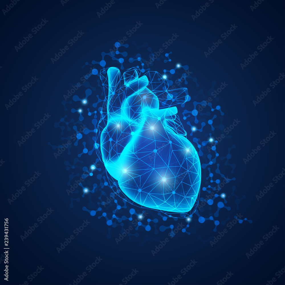 Wall mural graphic of realistic heart with polygonal structure in scientific style, concept of science technolo