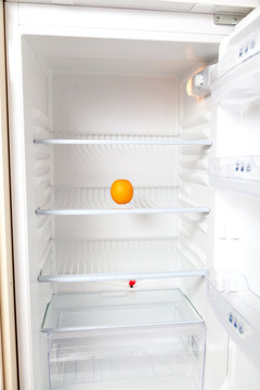 Orange lies in empty refrigerator.