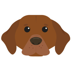 brown dog head vector drawing portrait