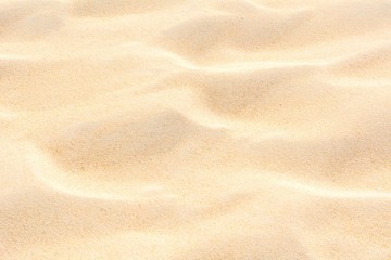 Fototapeta na wymiar The beach sand texture full frame background