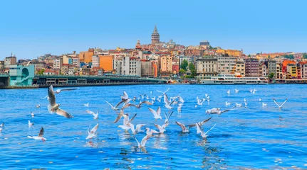 Foto auf Acrylglas Galata Tower, Galata Bridge, Karakoy district and Golden Horn at morning, istanbul - Turkey - Large flock of seagulls flying at the sea © muratart