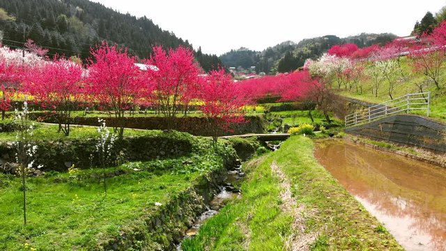 ドローン空撮 天国に一番近い里 横移動