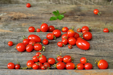 Fototapeta na wymiar Sherry tomatoes strewn on a wooden background
