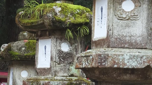 Close up view of Shrines in Nara Park, Japan