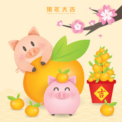 2019 Chinese New Year, Year of Pig Vector with 2 cute piggy with tangerine and blossom tree.  (Translation: Auspicious Year of the pig)