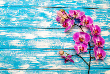 Fototapeta na wymiar A branch of purple orchids on a blue wooden background 