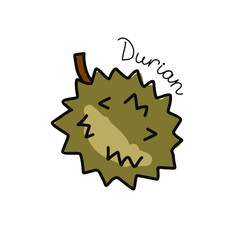 Durian, sketch for your design