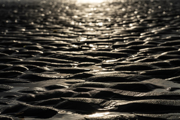 Wattboden im Abendlicht