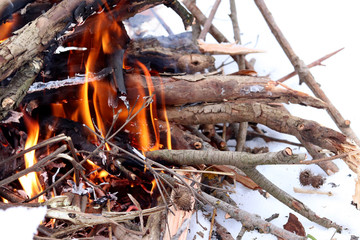 Bonfire in the winter, tree branches and fire, close-up.