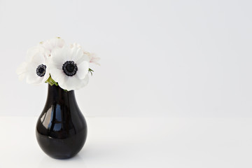 flower in black vase on white background