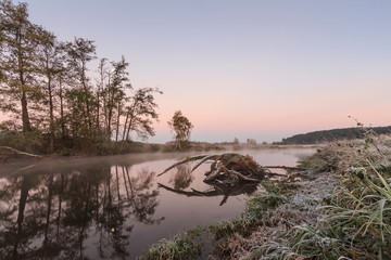 Obraz premium trees and grass in the frost by the river