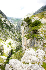 A deep gorge along the Cares Trail (Ruta Cares), Picos de Europa, Asturias, Spain.