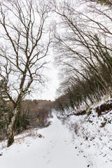 A path in the middle of woods covered by snow, with footsteps in the foreground