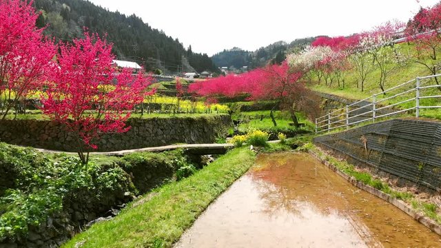 ドローン空撮 天国に一番近い里 後退