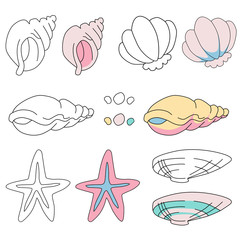 Set of seashells vector elements for illustration