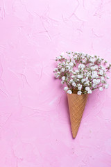 Fresh white gypsofila  flowers in waffle cone on  pink textured background.