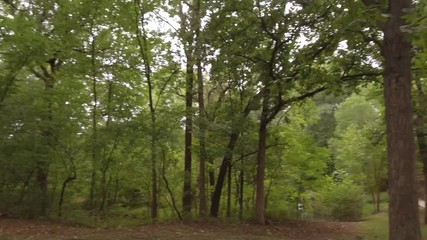 Pan right of forest park with walking path