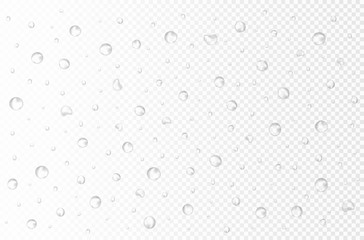 Vector water drops on transparent background. 3d realistic rain small drops or bubbles without shadows. pure water splashes for light transparent surface. Many sizes and forms. 