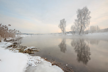trees and grass in the frost by the river in winter