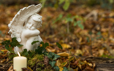 Bestattung Waldfriedhof, Freitextfläche