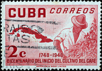 Man growing coffee plant on vintage cuban postage stamp