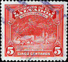 Oxen an plough on vintage stamp of El Salvador
