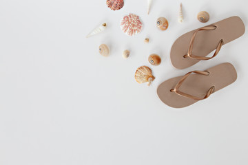 seashells with slippers on white background