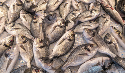 Fresh fish at the open air market in Ortigia island, Sicily