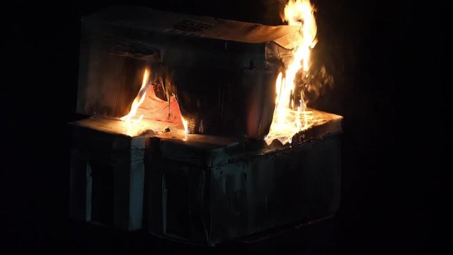 Burning bee hive boxes infected with American Foulbrood to prevent spread