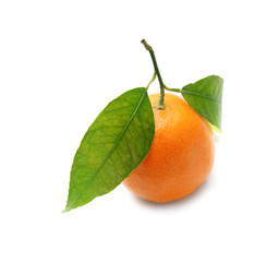 Tasty juicy tangerine on white background