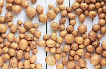 viele kleine verschiedene Kartoffeln Hintergrund Freiraum