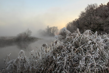 trees and grass in the frost by the river